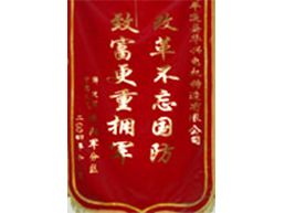 錦旗 錦旗